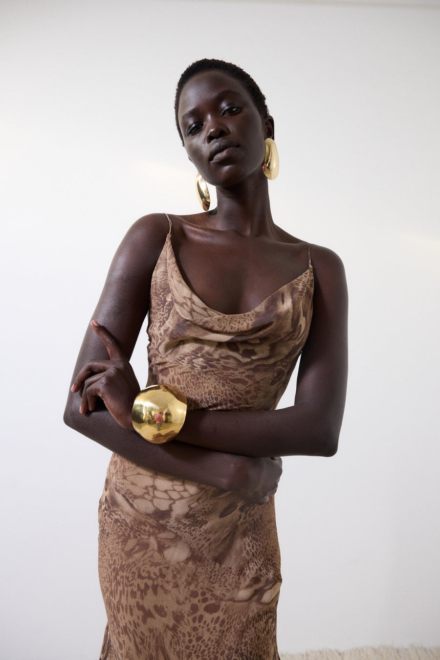 ATTICA MAXI DRESS IN GUEPARDO SILK CHIFFON