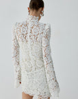 AGARTHA MINI DRESS IN IVORY METALLIC LACE